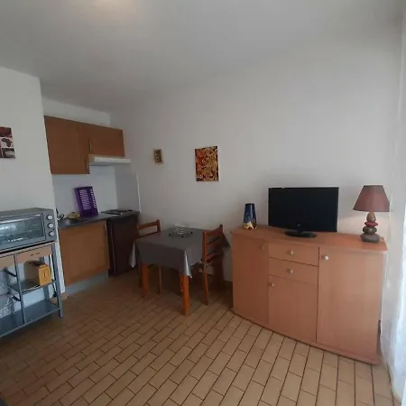 Avec Parking, Wi-fi Et Animaux Acceptes - Proche Etang De Thau Et Thermes - Fr-1-571-19 Appartement *